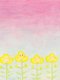 菜の花と桜日和240×320.jpg